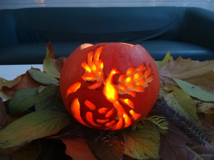 pumpkin