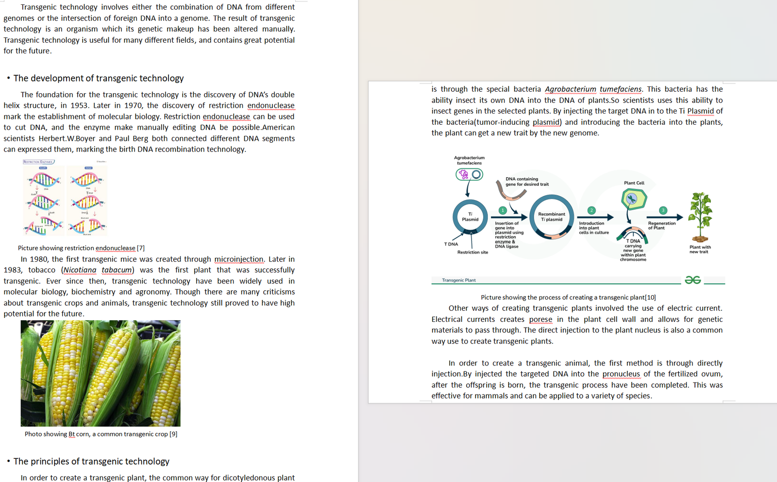 Transgenic Technology 1