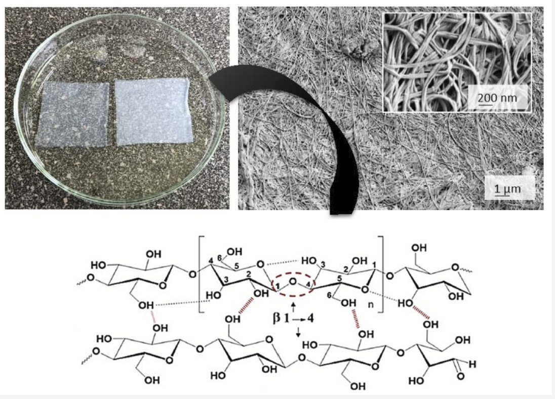 Nanocellulose