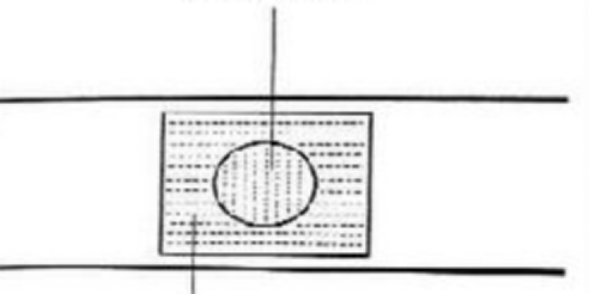 graph of flute film