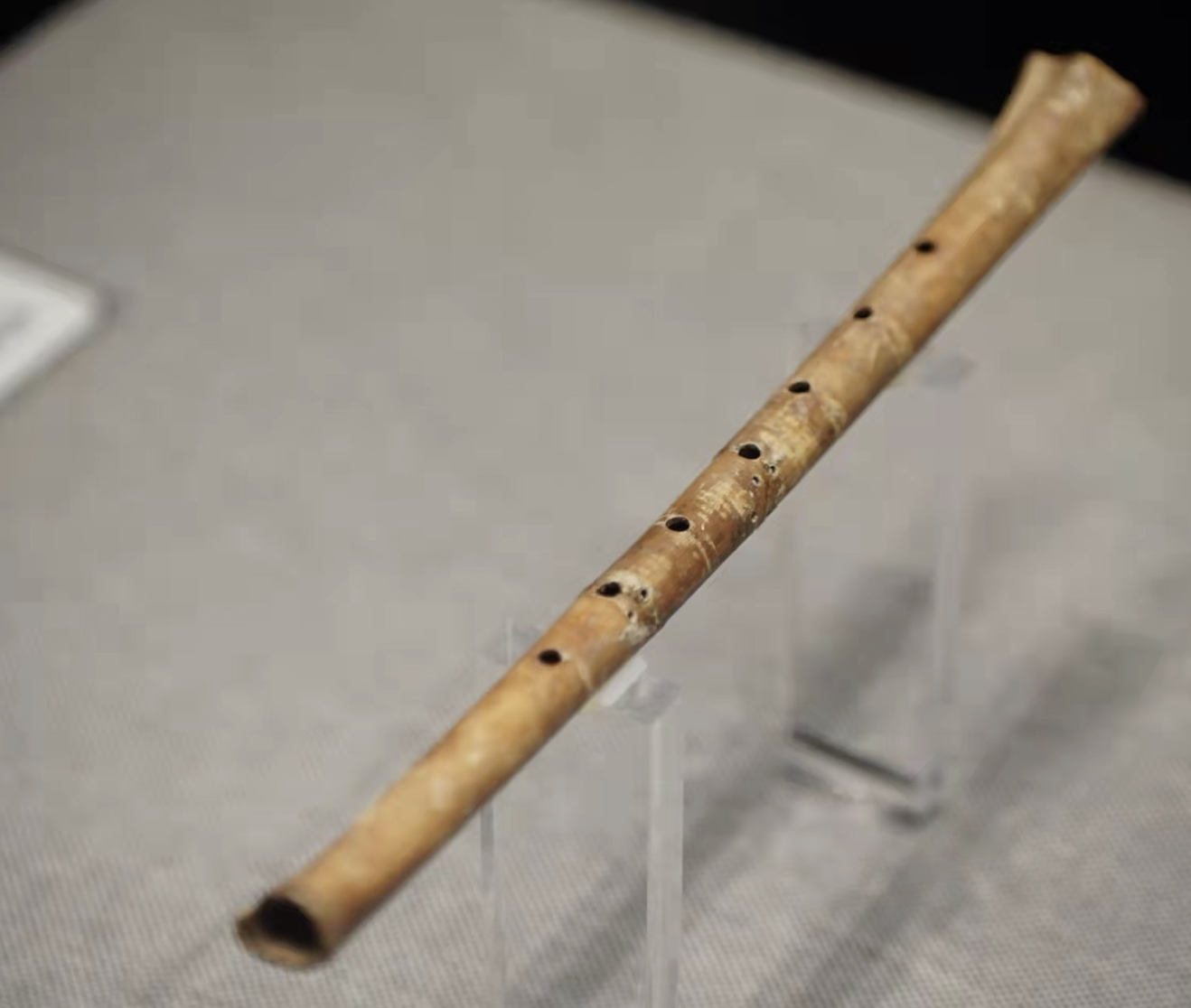 Jiahu Gudi